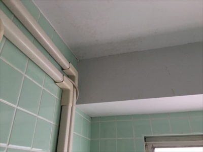 練馬区北町にてカビが生えてお困りの浴室天井の塗装を行いました